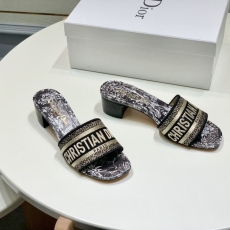 Christian Dior Slippers